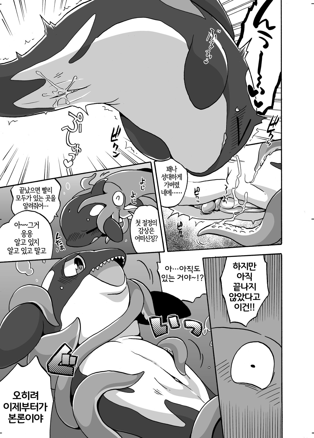 Shachi Ero wa Ikaga!? | 범고래 에로는 어떠신징어!? page 8 full