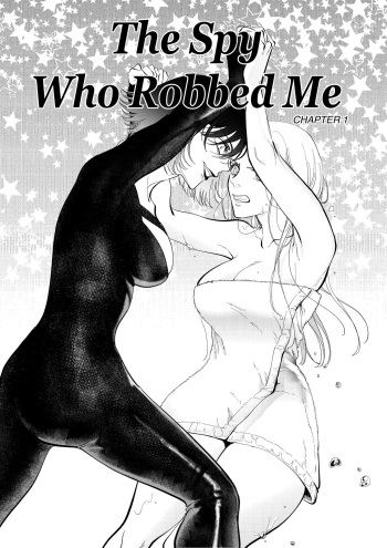 The Spy Who Robbed Me cover