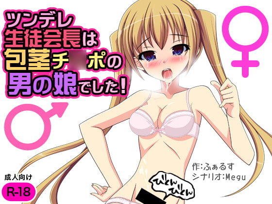 Tsundere Seito Kaichou wa Houkei Chinpo no Otokonoko deshita! page 1 full