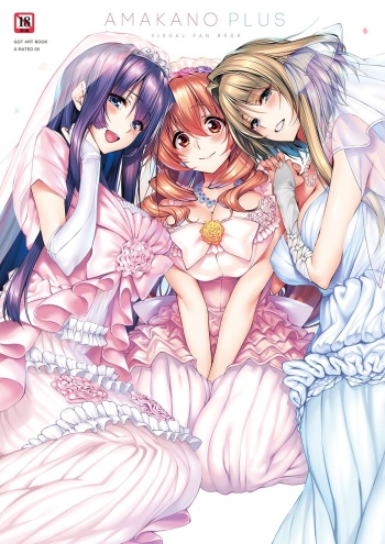 Amakano+ Visual Fan Book cover