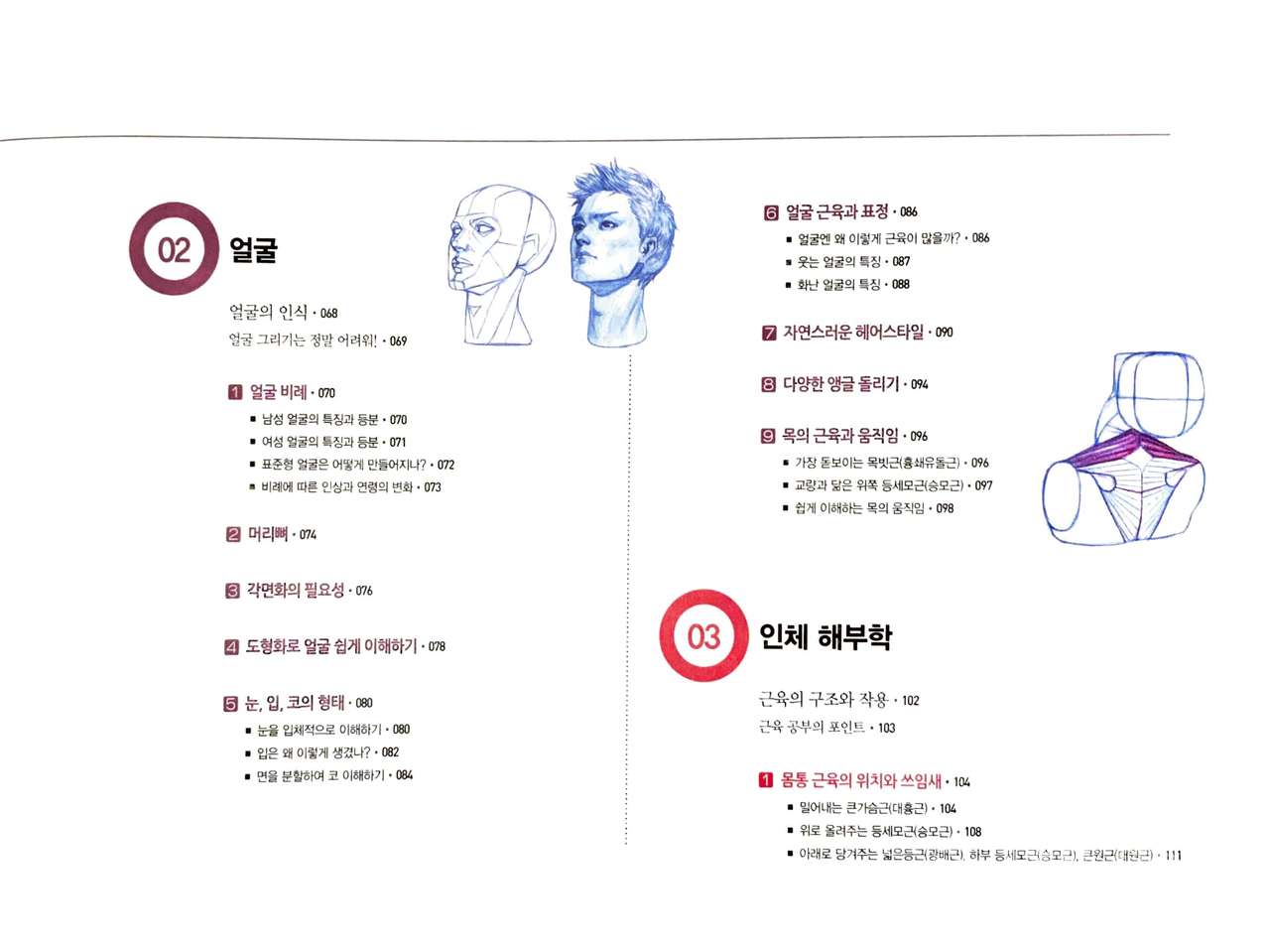 RockHe Kim's Anatomy Drawing Class page 7 full