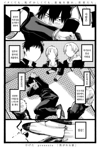 Kogareru Ookami cover