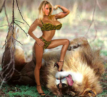 Girls vs Animals cover