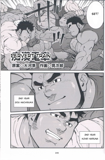 Chikan Densha cover
