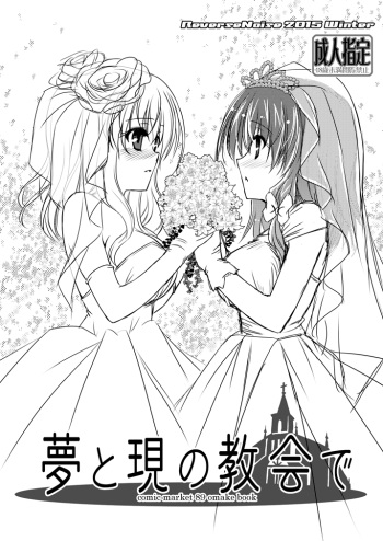 Yume to Utsutsu no Kyoukai de cover