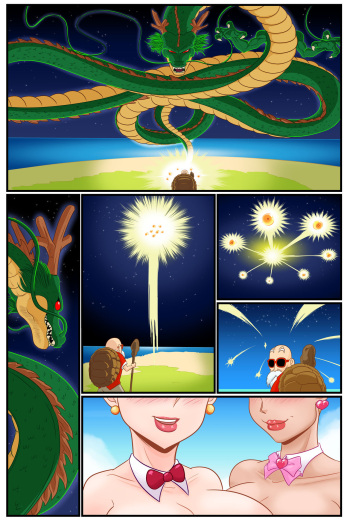 The Wish Of Master Roshi cover