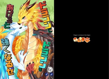 Dragon ni Dragon o Ageru to Tsuyoku Naru ze cover