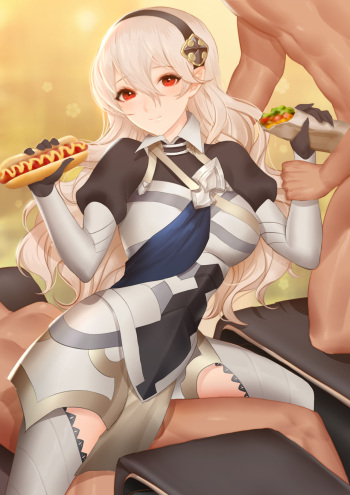 Corrin cover
