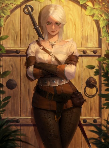 Collections cover