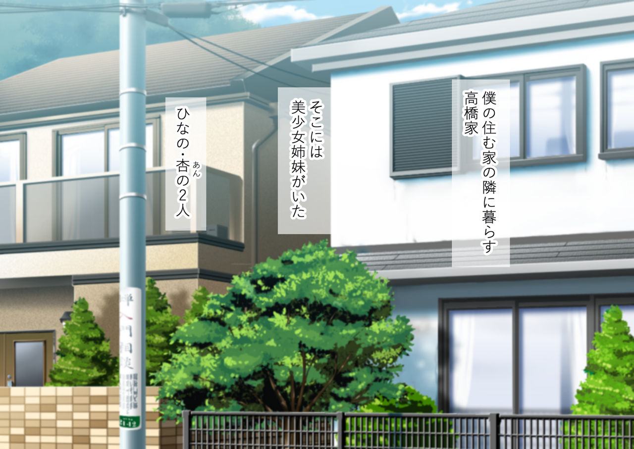 両想いだった幼馴染姉妹がホームステイ中の留学生にオナホ代わりにされてSEX大好き中イキメスにされてた話 page 2 full