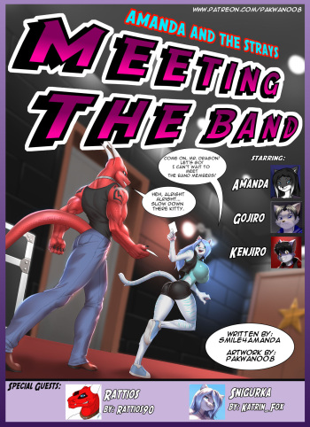 Meeting The Band by Pakwan008 cover
