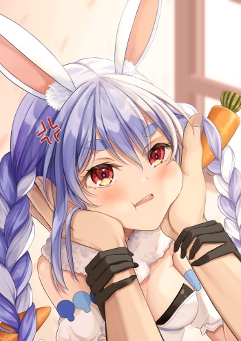 pixiv 社外秘 cover