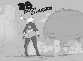 2B Body Expansion cover