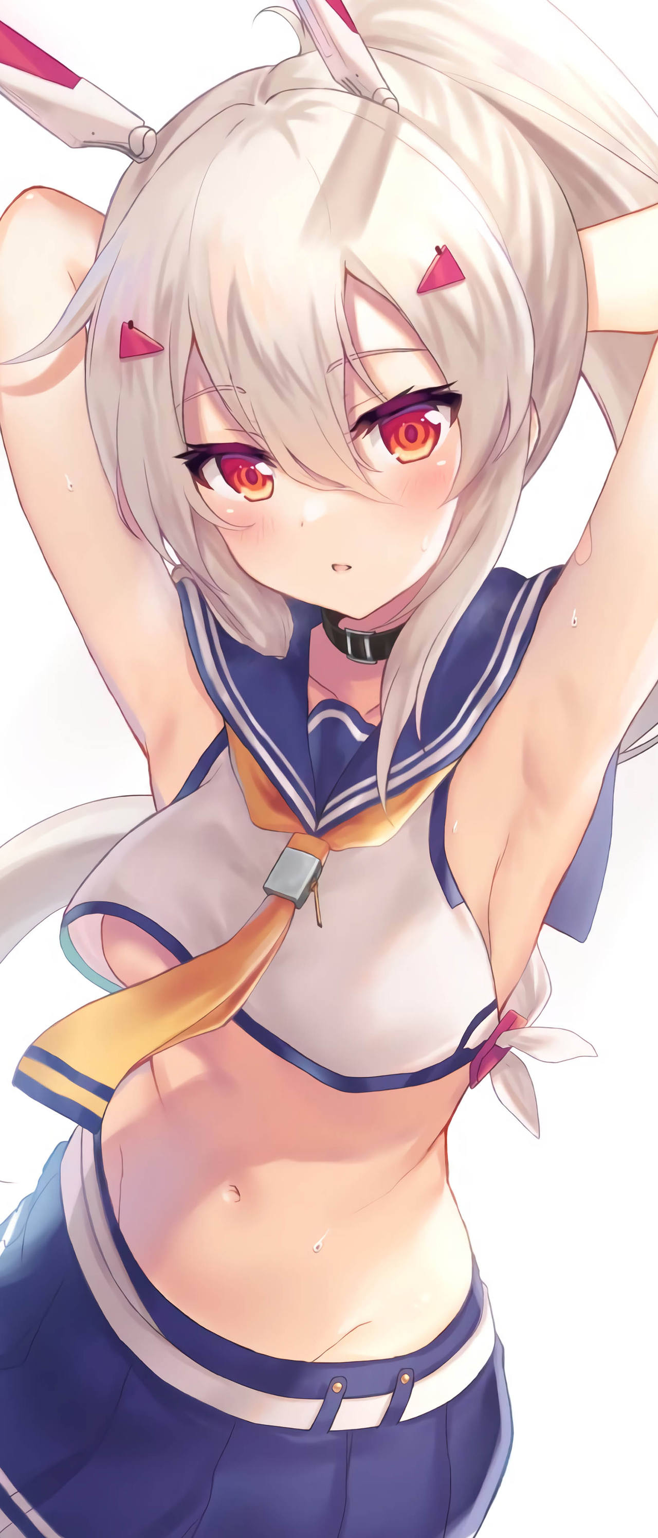 wallpaper 1644x3840 part27 page 10 full