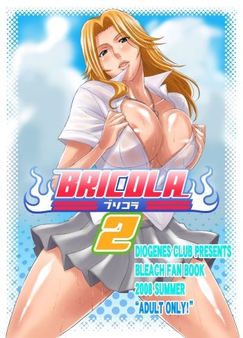 BRICOLA 2 cover