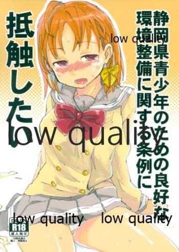 Shizuoka-ken Seishounen no Tame no Ryoukou na Kankyoseibi ni Kansuru Jorei ni Teishoku Shitai cover