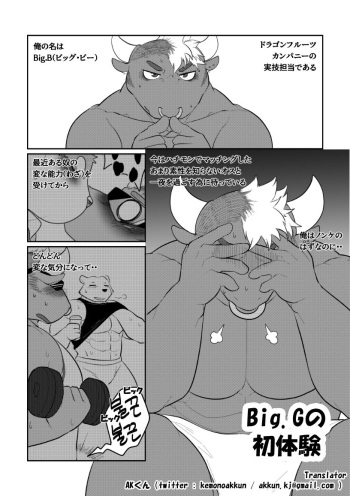 Big B's First Experience cover