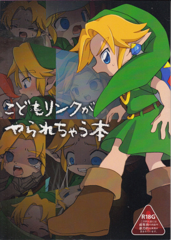 こどもリンクがやられちゃう本 cover