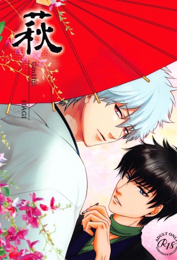 HAGI cover