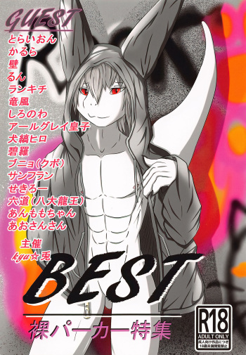 BEST -Hadaka paakaa tokushuu- cover