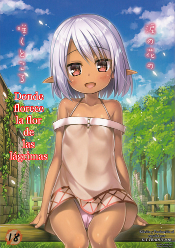 Namida no Hana no Saku Tokoro 1-3 cover