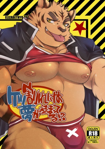 Ketsuware ni wa Yume ga Tsumatteru 1 cover