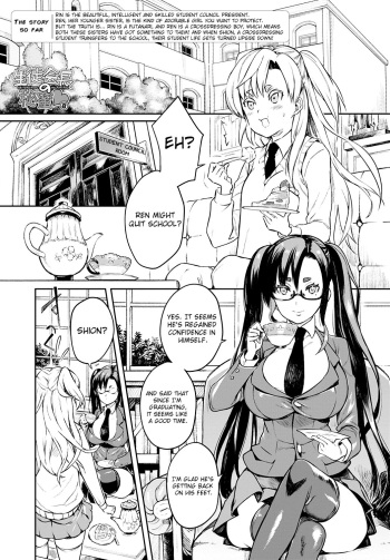 Seitokaichou No Himitsu 8 | The Student Council President’s Secret 8 cover