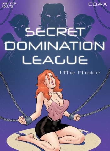 Secret Domination League 1 - The Choice cover