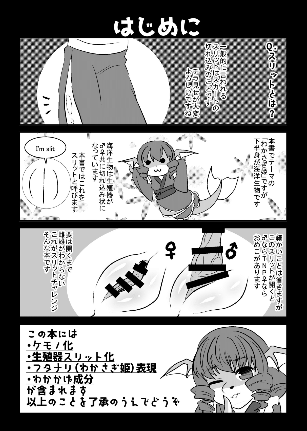 Wakasagi Slit Challenge page 2 full