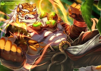 Pang cover
