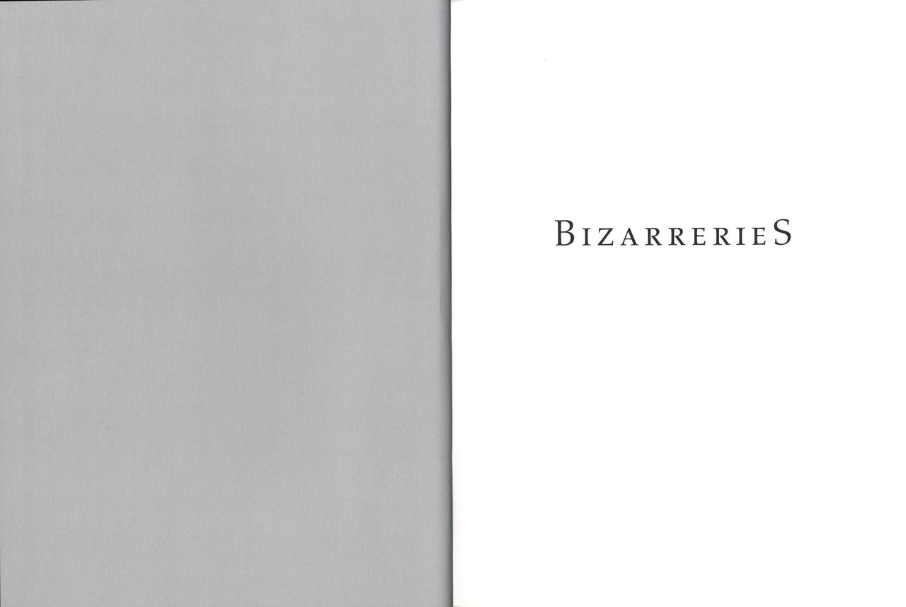 BizarrerieS page 3 full