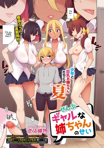 Zenbu Gal na Nee-chan no Sei cover