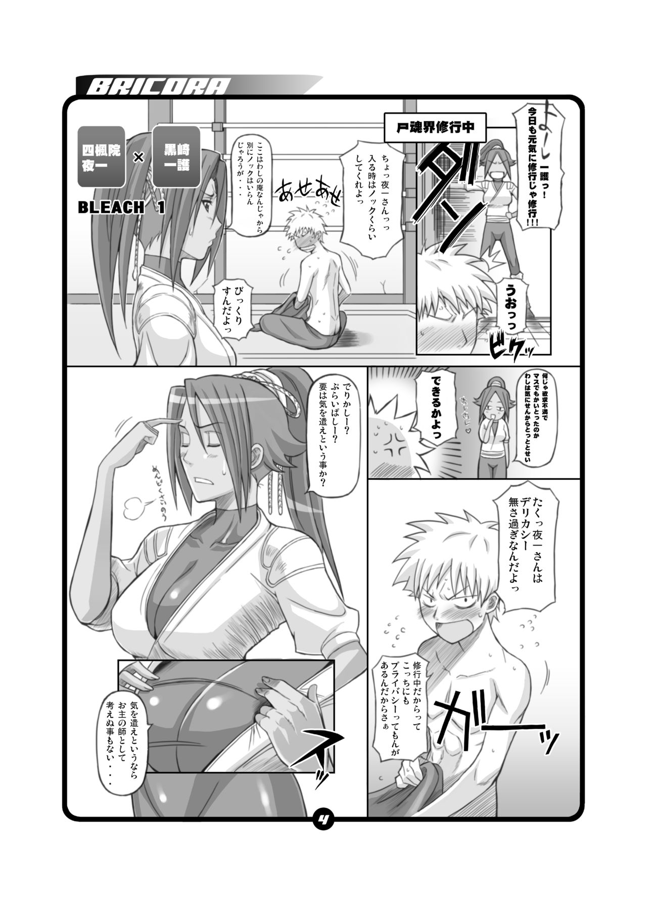 BRICOLA page 3 full