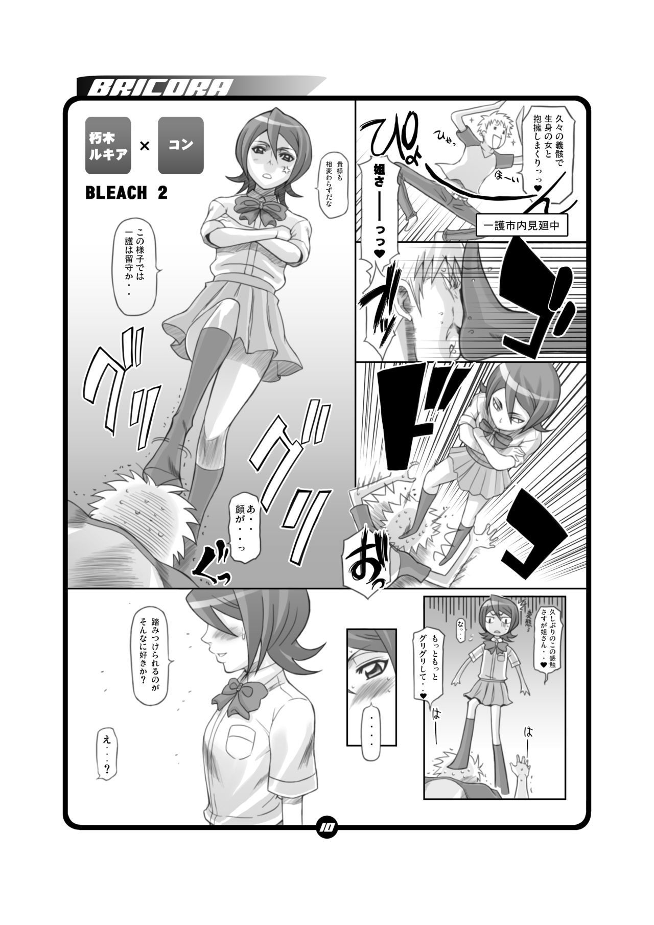 BRICOLA page 9 full