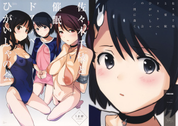 Sasaki Chie to Saimin Dosukebe Higaisha no Kai + Paper   =White Symphony= cover