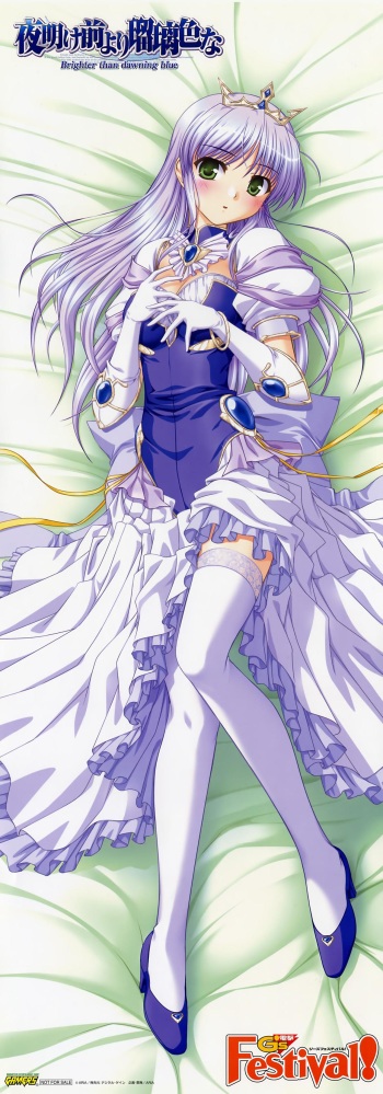 dakimakura collection from yande.re cover
