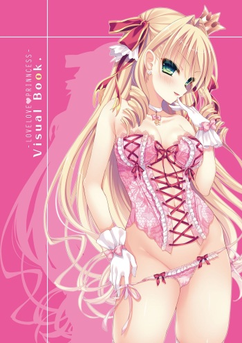 らぶらぶプリンセス Visual Fan Book cover