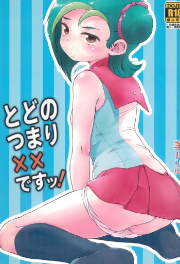 Todo no Tsumari XX desu! cover