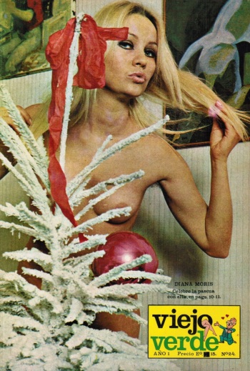 Revista Viejo Verde N°24 cover
