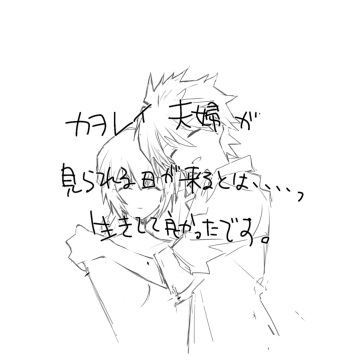 _略_ cover