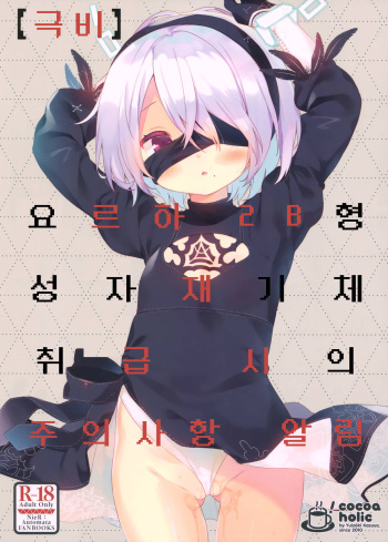 YoRHa 2B-gata Shoushizai Kitai no Toriatsukaidoki ni Okeru Chuui Jikou Tsuutasu |  요르하 2B형 성자재기체 취급 시의 주의사항 알림 cover