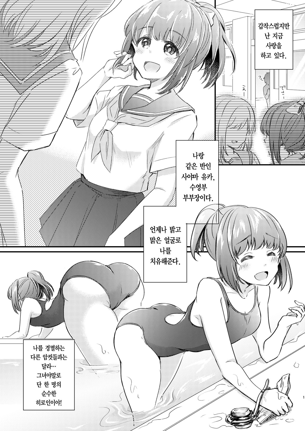 Heroine Mesuniku Kaizou Keikaku | 히로인 암컷육체 개조계획 page 3 full