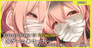 Ecstasy Stage 13 Premium Batsu Game Corner cover