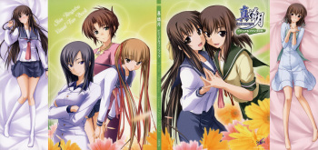 Shin Ringetsu Visual Fanbook cover