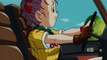 Bulma Collection cover