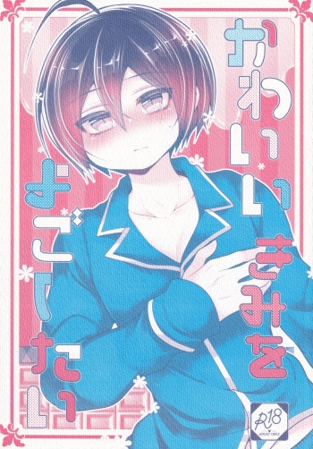 Kawaii Kimi o Yogoshitai cover