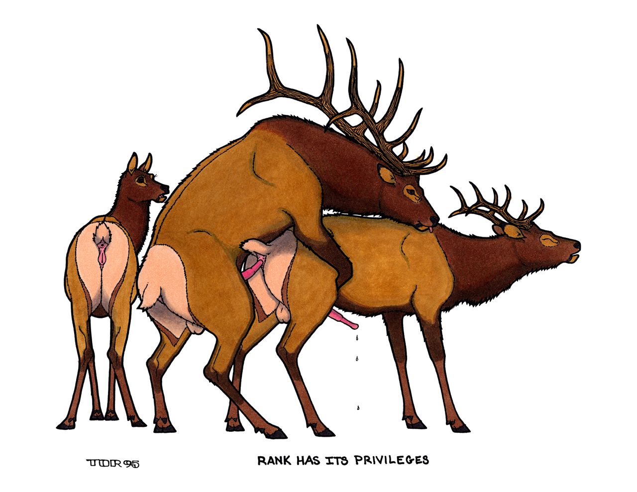 ARTIST tim o'rourke page 4 full