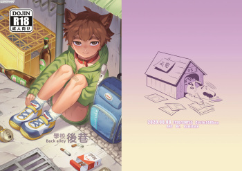 Back alley cover