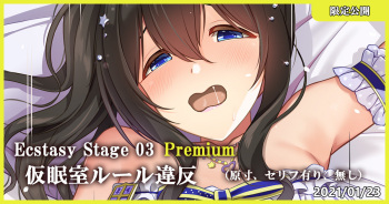 Ecstasy Stage 03 Premium Kaminshitsu Rule Ihan cover