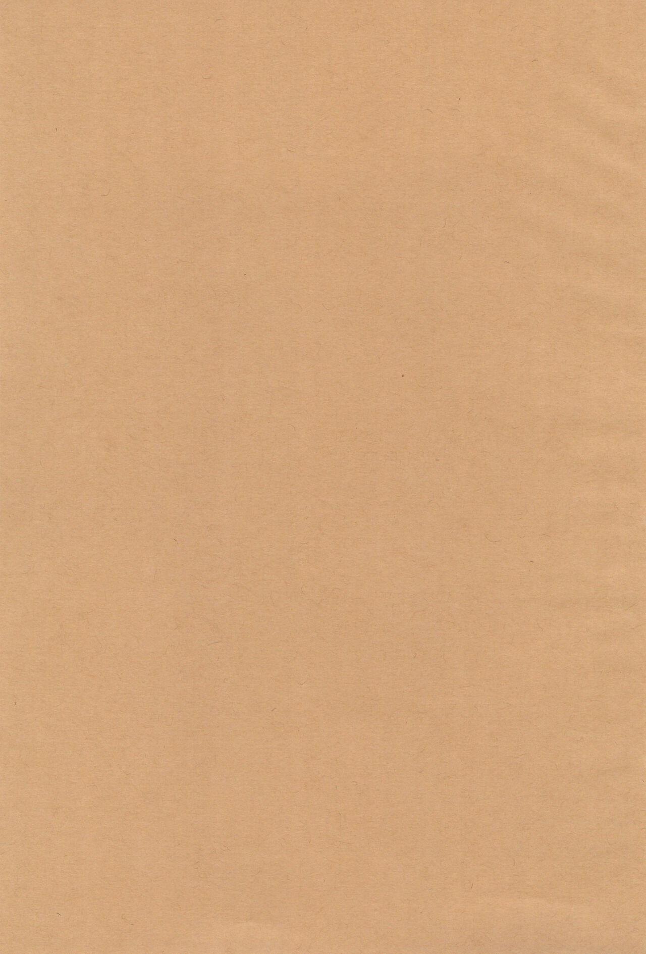 Bokutachi no Koibito ni natte Itoko x Ninaku natta Futago x Futago -Kaiteiban- page 3 full